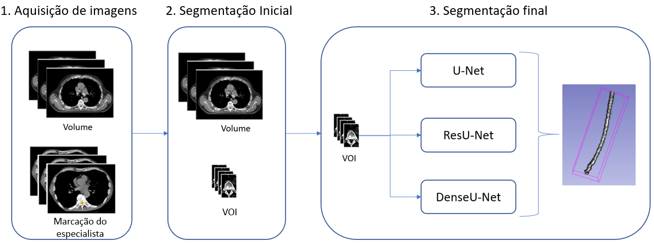 Etapa do método estudado na medula espinhal do corpo humano.