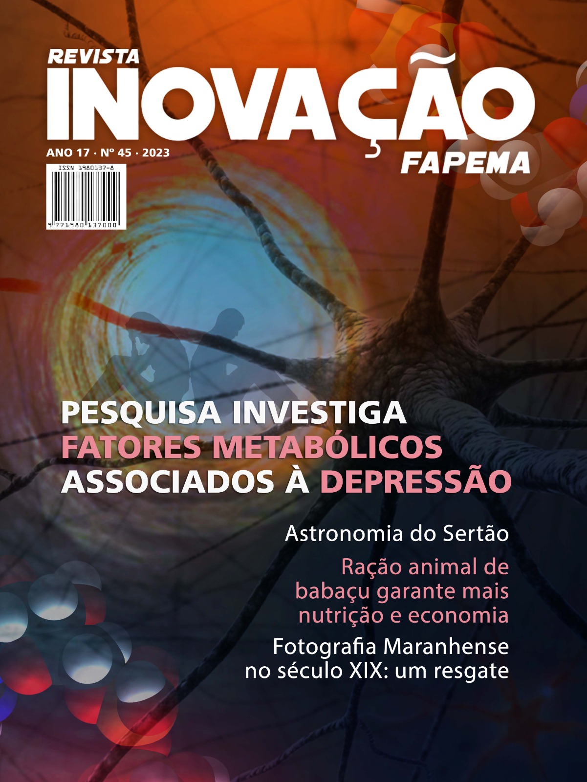 Revista Inovação FAPEMA - Edição 45