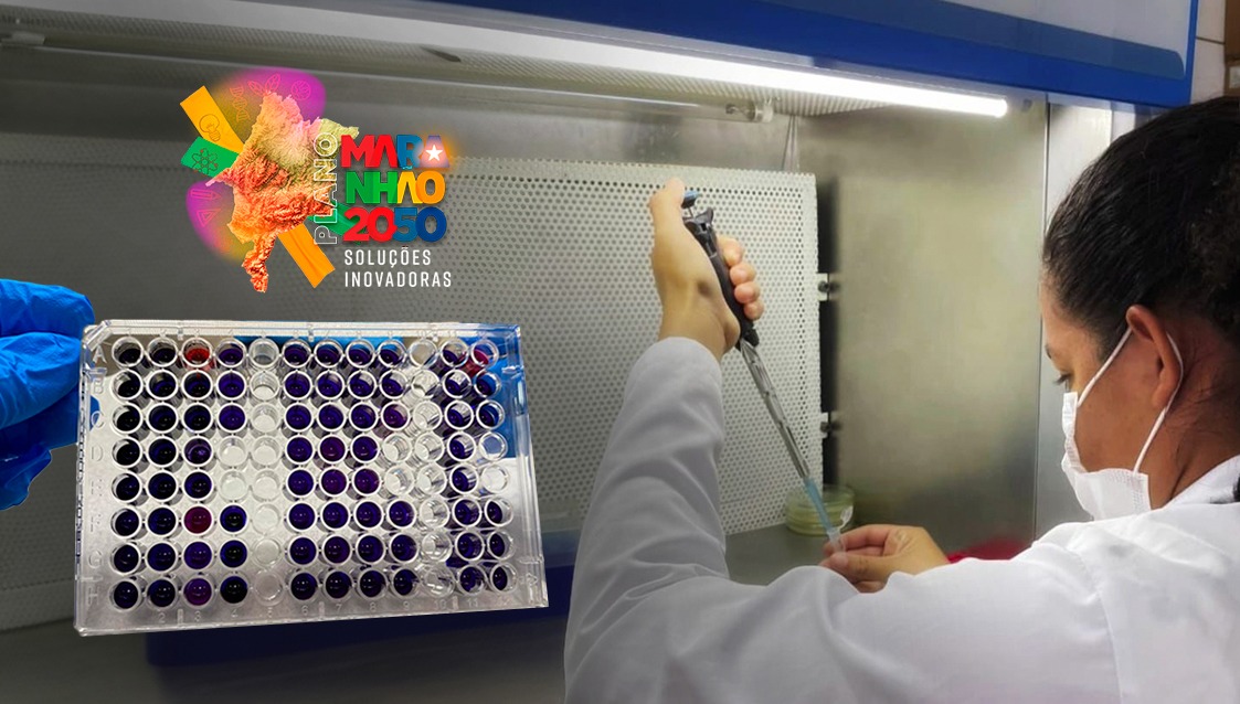 EDITAL PLANO MARANHÃO 2050: CIÊNCIA MARANHENSE INTEGRADA A UM PLANO ESTRATÉGICO DE DESENVOLVIMENTO