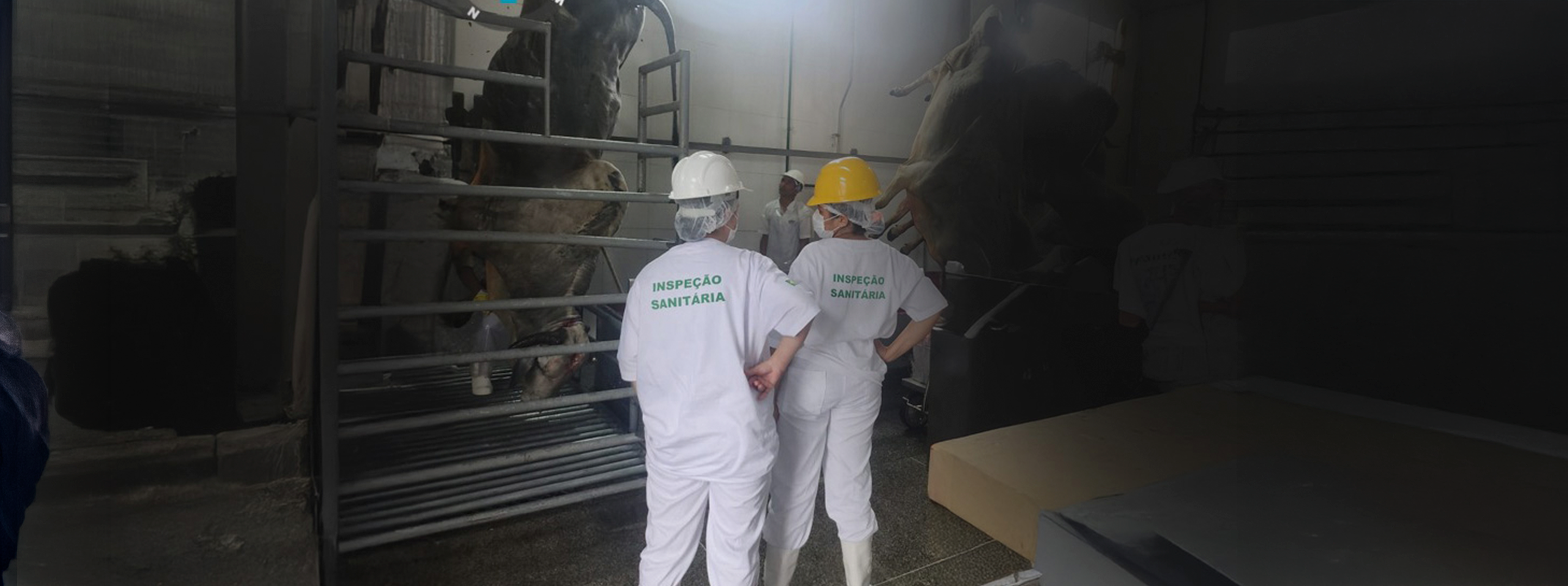 PLATAFORMA AVANÇA MODERNIZAÇÃO DA INSPEÇÃO SANITÁRIA E SOMA NA CADEIA PRODUTIVA DA CARNE NO MARANHÃO