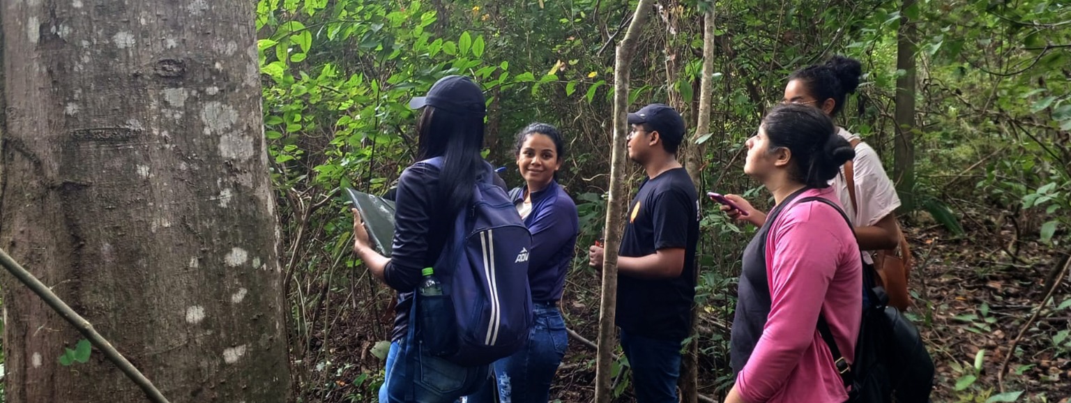 FLORA MARANHENSE SERÁ CATALOGADA EM BANCO DE DADOS INÉDITO PARA CONSERVAÇÃO DA BIODIVERSIDADE