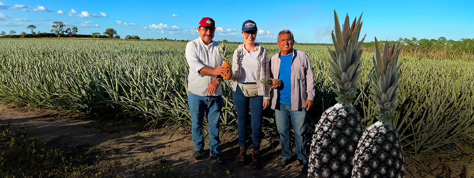 A CIÊNCIA QUE VAI TRANSFORMAR A CAPITAL DO ABACAXI NO MARANHÃO