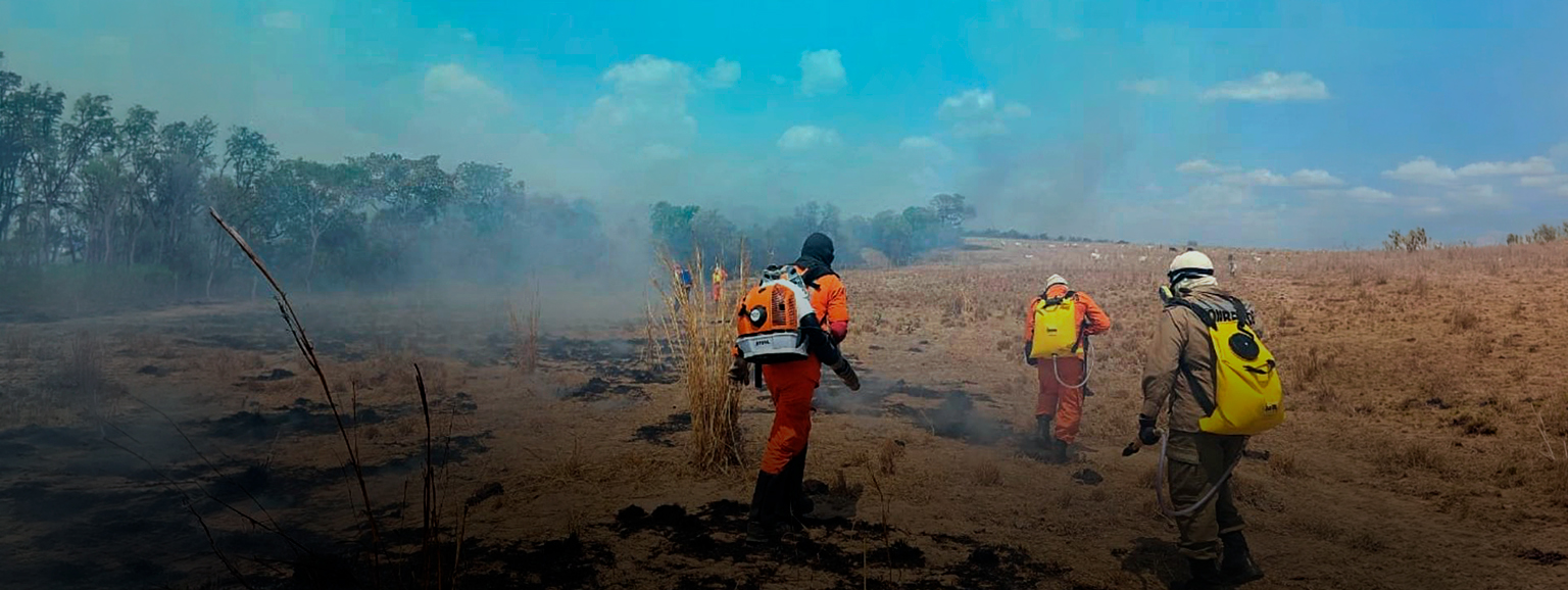A CIÊNCIA A SERVIÇO DA CONSERVAÇÃO DA VEGETAÇÃO NO MARANHÃO