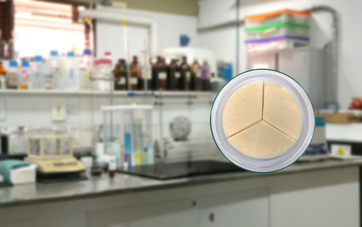 BIOTECNOLOGIA MARANHENSE EM DESTAQUE INTERNACIONAL